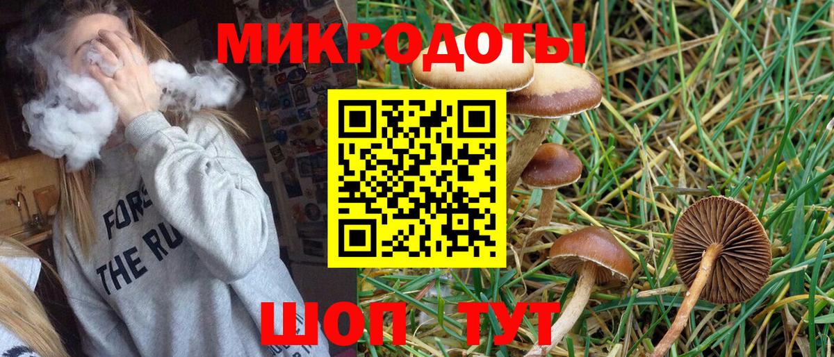 Псилоцибиновые грибы Magic Shrooms Борзя