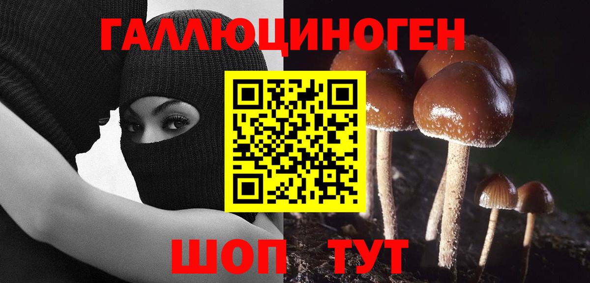 Псилоцибиновые грибы Psilocybe  Вход с VPN  Борзя 